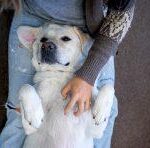 58-153984042203375006